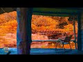 Cozy Autumn Porch Ambience - Listen to Soothing Rain &amp; Thunderstorm Sounds for Sleep, Study, Relax