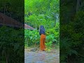 metik sayuran #slowliving #pedesaan #littleforest #studioghibli #pertanian #minigarden #kebunmini