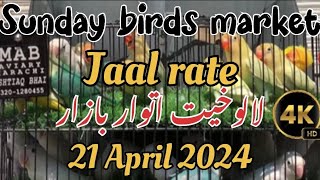 Today Lalukhet Birds Market | Jaal Rate latest update | 21-April-2024 | #lalukhetbirdsmarket