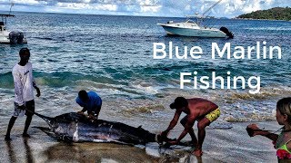 Blue Marlin Fishing | Seychelles Fishing | Deep Sea Fishing | Fishing Moments | Fishing Fun Guide