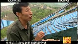 走遍中国 《走遍中国》 20130103  特产传奇（2）——柱参传奇