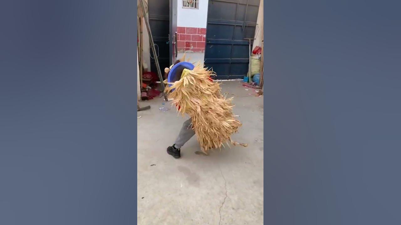 Lion dance