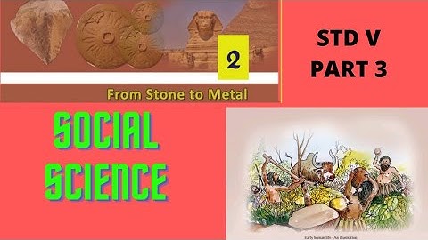 Std V Scert Chapter 2 From stone to Metal Part 3