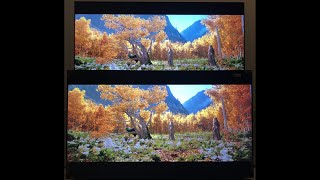 Philips PML9507 - Adaptive HDR10+ adapts to different light in the room