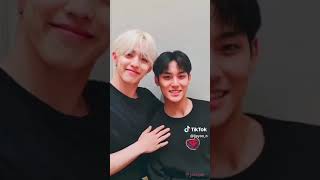 Seventeen Pause Game Idol Life Edition.