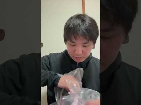 我が家の守り神ミュウツー＃ポケモン