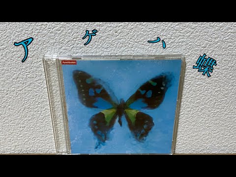 6thシングル "アゲハ蝶"を紹介！【ポルノグラフィティ】