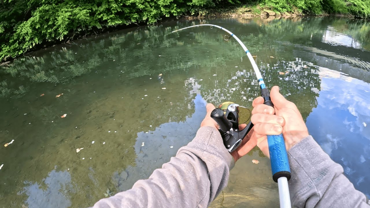 Pulled Over and Found a Honey Hole FULL of Fish!!! (New Species!)