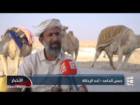 من شبوة إلى الخليج والعراق... مغامرة رحّالين يمنيين على ظهور الإبل