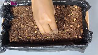 Irrigation - Drip | ThinkTac