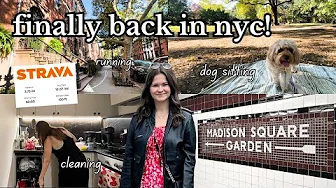 A Chill but Productive Weekend in NYC | going to a concert alone, dog sitting, running, & more