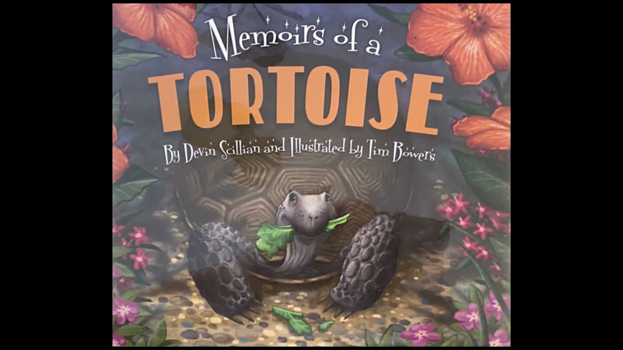 Memoirs of a Tortoise - YouTube