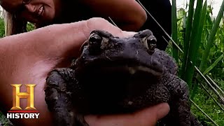 Alone Clay Has Trapped Every Animal In Idaho Season 8 History