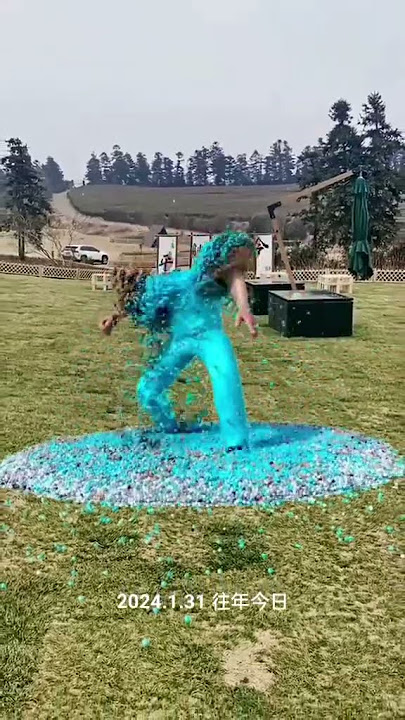 7465830062718209299.mp4