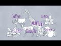 English words with Arabic origins