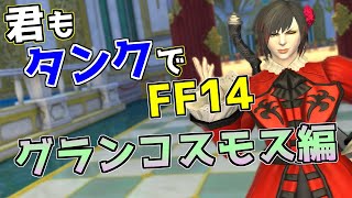 Id解説 君もタンクでff14 魔法宮殿 グランコスモス編 Ff14 Youtube