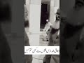 شدید بیماری کی حالت میں اپنے چھوٹے بھائی مفتی تقی عثمانی صاحب دام اقبالہ کے لئے رو رو کر دعائیں