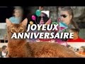 JOYEUX ANNIVERSAIRE