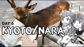 DAY 6 KYOTO/NARA日本語字幕/CC! - Japan trip/travel vlog. The deer ate our map!