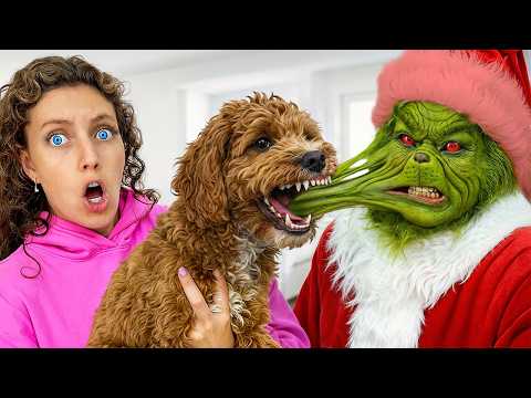 My Dog ATTACKED the GRINCH...*FACE REVEAL*