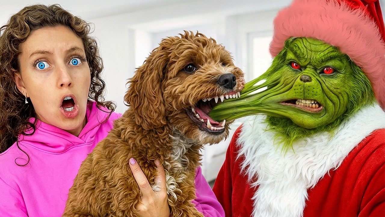 My Dog ATTACKED the GRINCH...*FACE REVEAL*