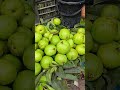 কেজি কতো করে #shorts