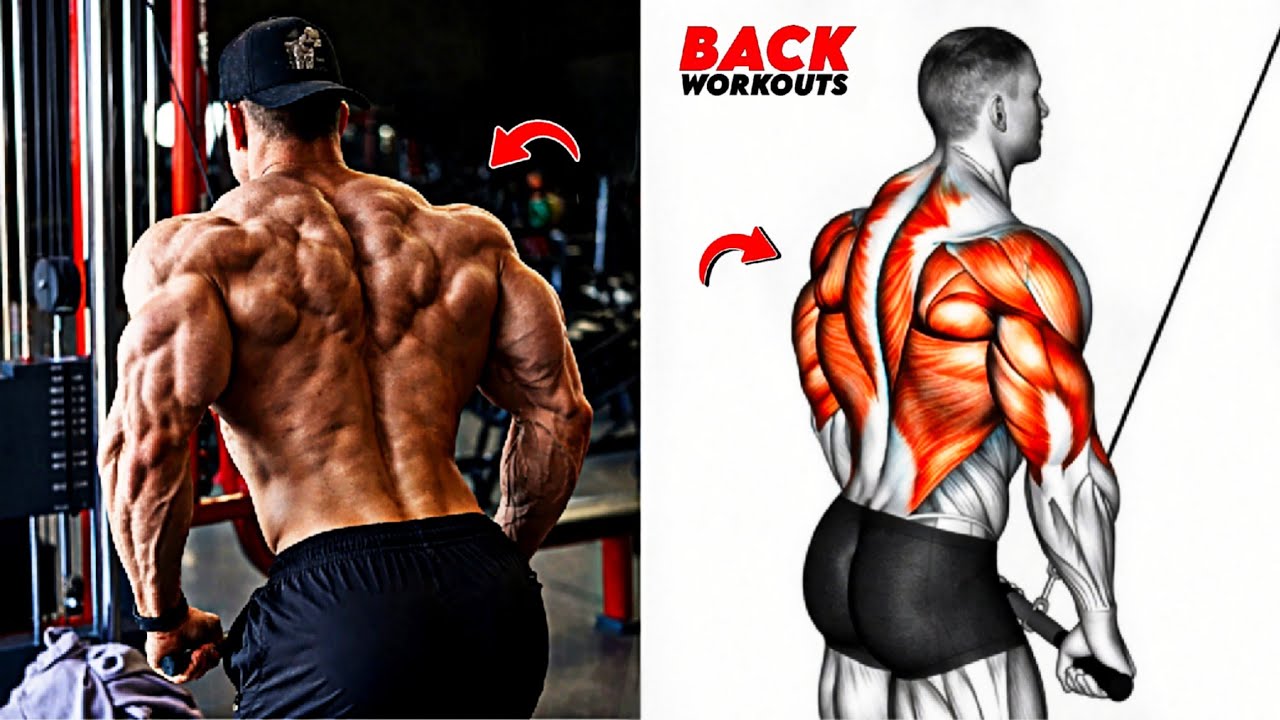 8 Best Back Exercises for a Wider, Thicker & Stronger Back 🔥 - YouTube