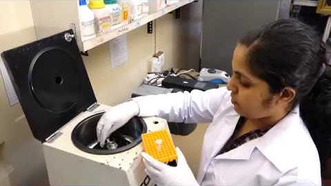 Molecular Microbiology and Human diseases