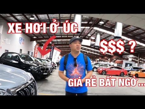 Video: Có ai có thể đi đấu giá xe hơi không?