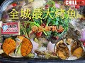 【CHILL抵食]  勁大條4斤龍躉烤魚 | 海胆油甘魚刺身 | 蒸海鮮 | 香港美食