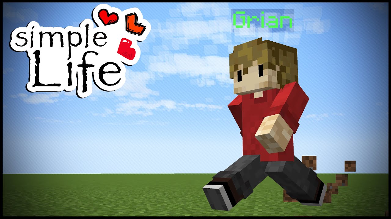 Simple Life: THE START AND END