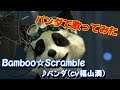【パンダで歌ってみた】Bamboo☆Scramble ♪パンダ(cv福山潤)