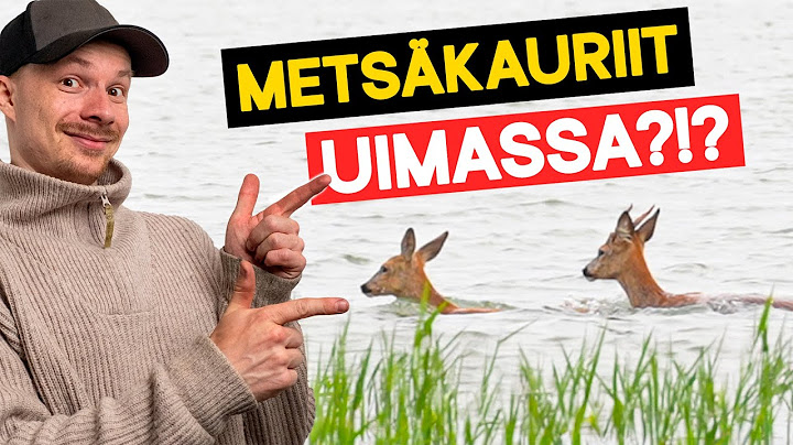 TUTKITAAN TOISEN MÖKIN VARASTOJA – Trimmerihommia ja uivia kauriita?!