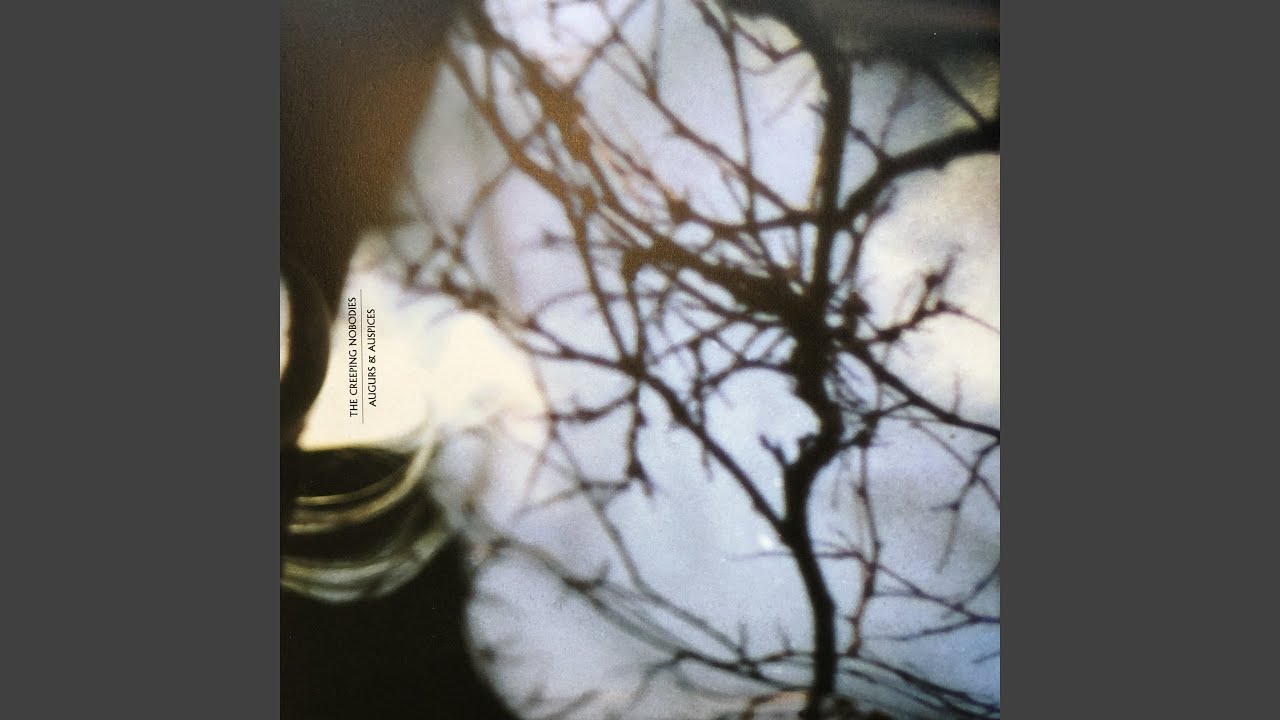 No Coins for a Kingdom