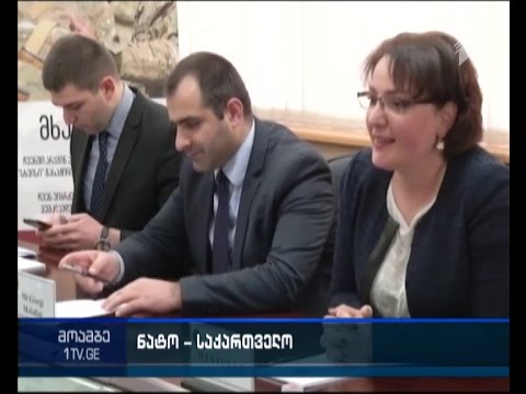 თინა ხიდაშელმა ნატო-ს გენმდივნის მოადგილის თანაშემწე მიიღო
