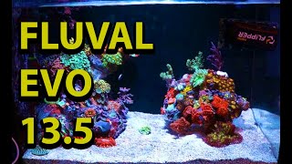 Fluval Evo 13.5 Update \\ Tia Walks Us Through The Nicest Nano Reef At Fragbox