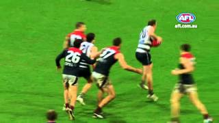 PTV: Steve Johnson v Chad Wingard