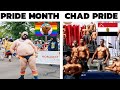 Libertarian pride month vs authoritarian pride month