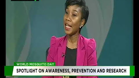 World Mosquito Day - Spotlight on awareness, prevention and research