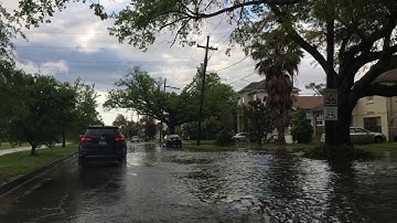 Become a citizen scientist! iSeeChange (For Girl Scouts)