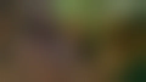 Apocalypto part 2 Full Movie (2025) #apocalypse 