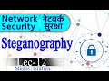 Mastering Steganography in Network Security: Secrets Behind Hidden Data 🔐