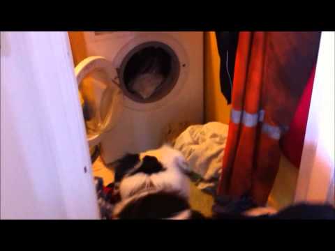 Video: Lavvaskemaskiner: Lave Vaskemaskiner Under Vasken Med En Høyde På 60-70 Cm Og Andre Størrelser