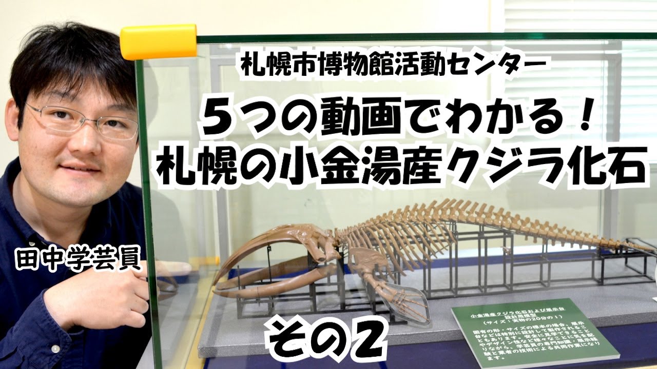 Understand Kogane-yu Whale Fossils from Sapporo in 5 Videos Part 2
