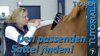 Den passenden Sattel finden - Selbstsicher in den Sattlertermin gehen | Teaser