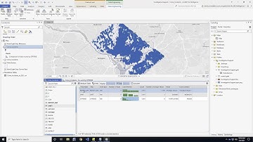 Investigative Support Webinar