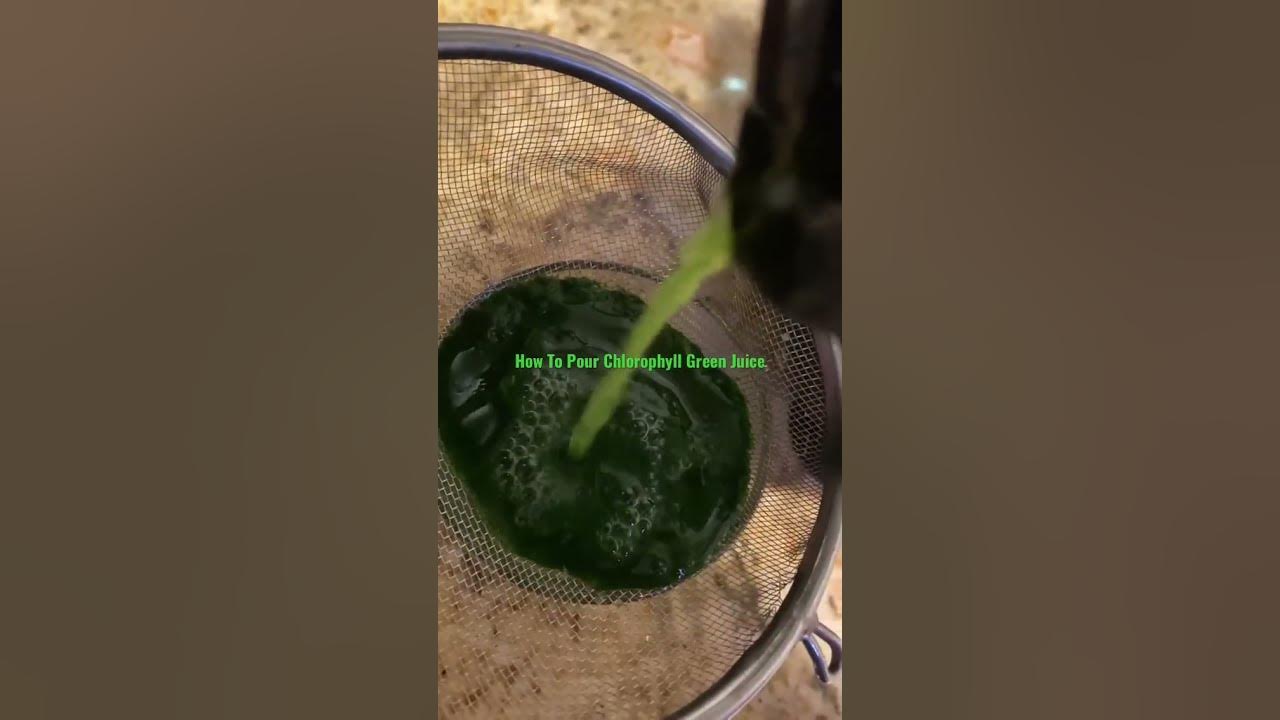 How to make chlorophyll green juice YouTube