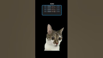 junior vs senior #codelife #css #html #frontend #coding #webdevelopment #webdesign