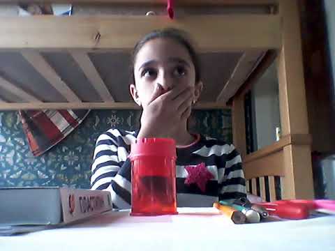 ჩემი სკოლის ნივთები