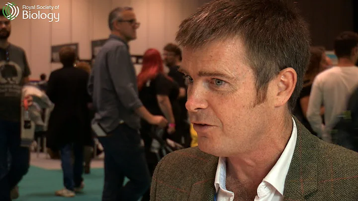 How can we do medical research without using animals?